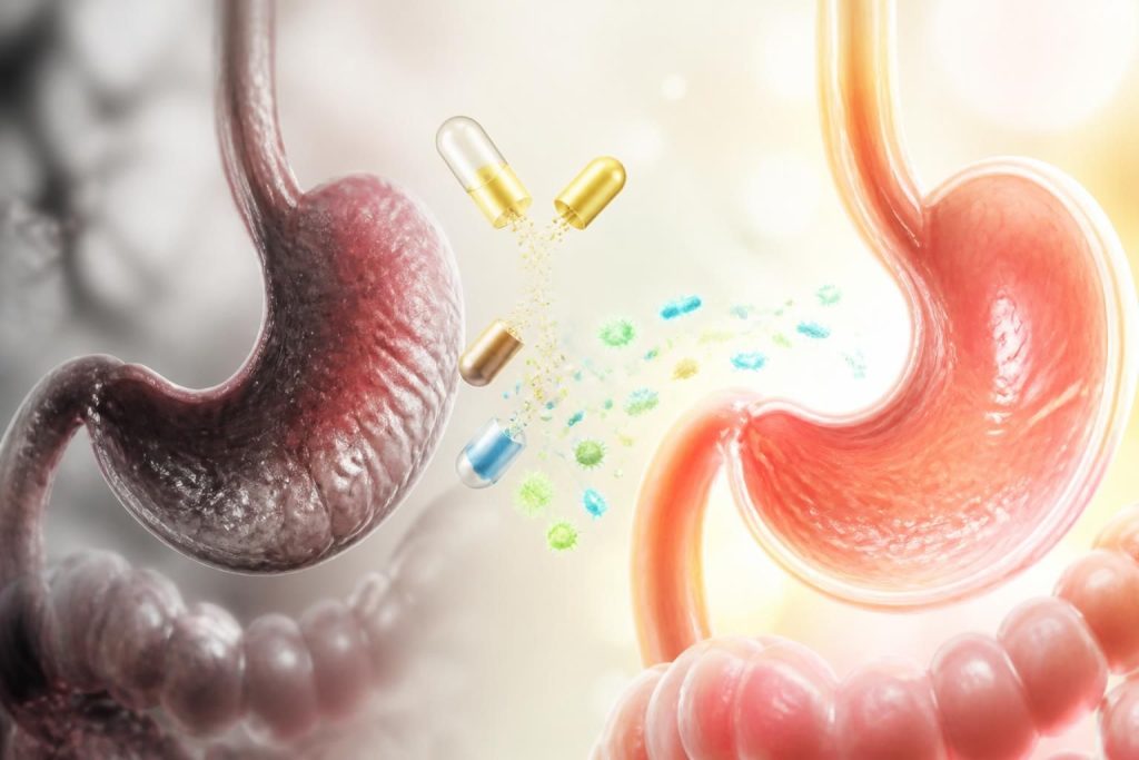 découvrez comment le meilleur probiotique peut améliorer votre digestion, renforcer votre bien-être intestinal et favoriser une santé optimale au quotidien.