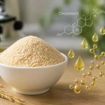 découvrez le lien scientifique entre le son de riz et le cholestérol, et comment son incorporation peut aider à gérer votre taux de cholestérol naturellement.